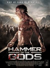 Jaquette du film Hammer of the Gods