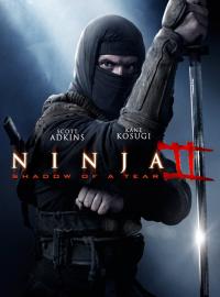 Jaquette du film Ninja 2 : Shadow of a Tear