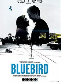 Jaquette du film Bluebird