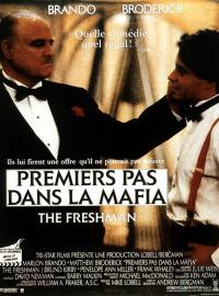 Jaquette du film Premiers pas dans la mafia