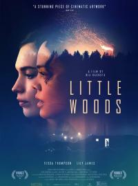 Jaquette du film Little Woods