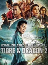 Jaquette du film Tigre et Dragon 2