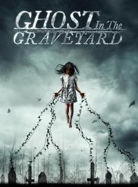 Jaquette du film Ghost in the Graveyard