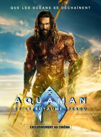 Jaquette du film Aquaman et le Royaume perdu