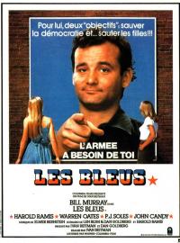 Jaquette du film Les Bleus