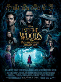 Jaquette du film Into the Woods : Promenons-nous dans les bois